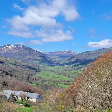 Maison Renovee Au Coeur Des Volcans D'auvergne Avec Jardin, Terrasse Et Animaux Acceptes - Fr-1-742-156 *